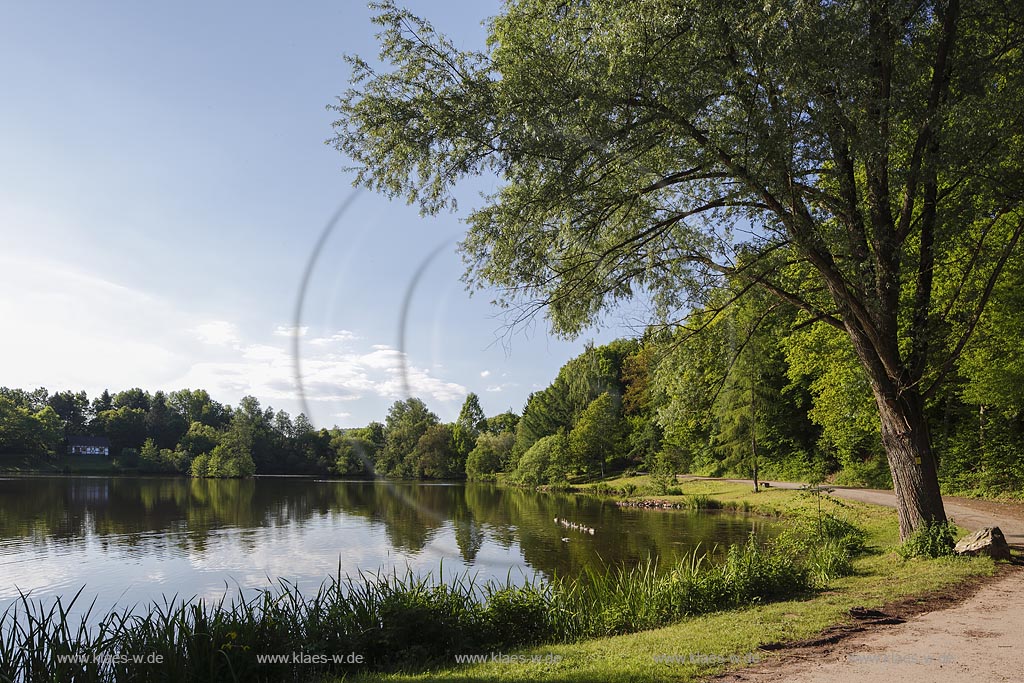 Wadern Nunkirchen, Blick auf den Bueschfelder Weiher; Wadern Nunkirchen, view to the pond Bueschfelder Weiher.