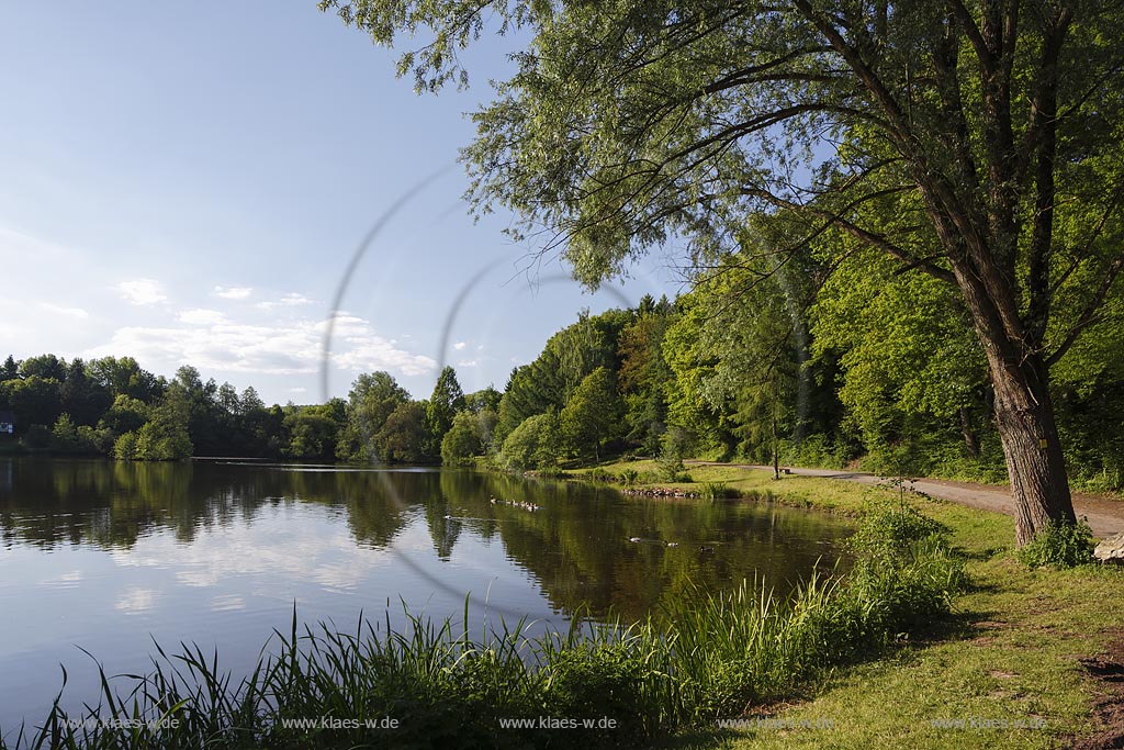 Wadern Nunkirchen, Blick auf den Bueschfelder Weiher; Wadern Nunkirchen, view to the pond Bueschfelder Weiher.