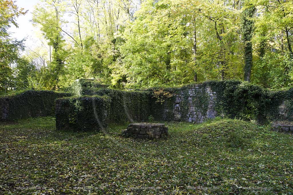 Arnsberg, Blick auf die Reste der Ruine Rdenburg, auch als Alte Grafenburg oder Alte Burg bezeichnet