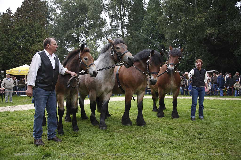 Neheim-Hsten, Neheim-Huesten, Hochsauerlandkreis, Hstener Kirmes, Kreistierschau, Pferde, Kaltblueter, Kaltblter, Familienansammlung von vier Generationen auf dem Richtplatz, Sauerland