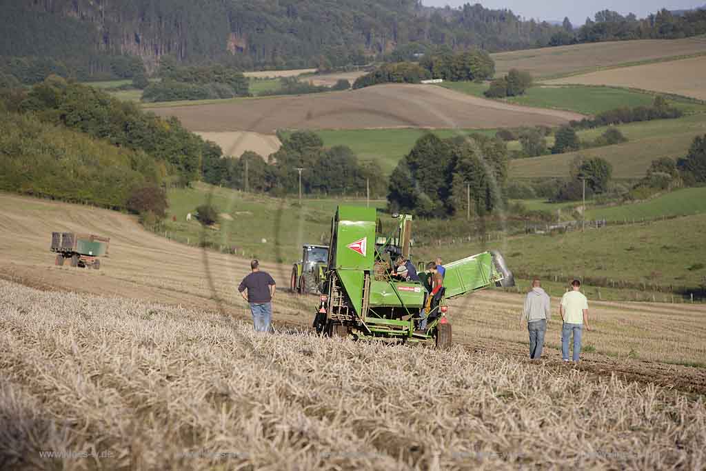 Balve, Gutshof Benkamp, Blick auf Acker mit Traktor bei Kartoffelernte, Sauerland