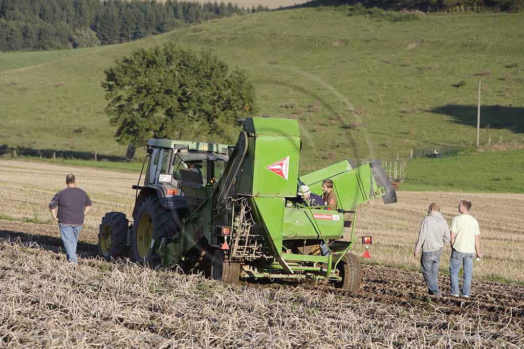 Balve, Gutshof Benkamp, Blick auf Acker mit Traktor bei Kartoffelernte, Sauerland