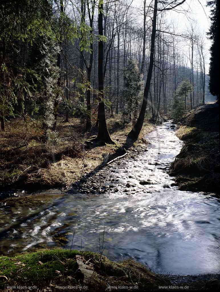 Bestwig, Blick auf Zusammenfluss von Bremecke und Elpe im Elpetal, Hochsauerlandkreis, Sauerland