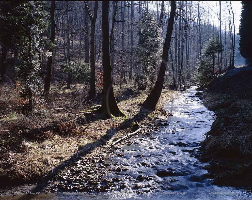 Bestwig, Blick auf Elpetal mit Bremecke, Sauerland