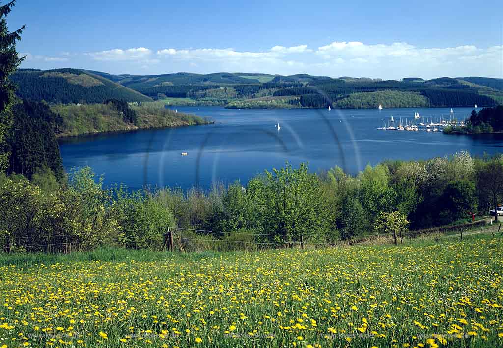 Biggesee, Olpe, Blick auf Biggesee mit Lanschaft, Sauerland