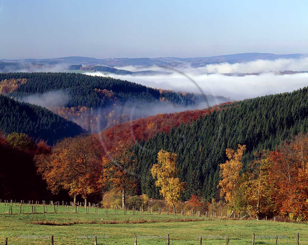 Biggetal, Kreis Olpe, Blick auf Herbstnebel im Biggetal, Herbststimmung, Sauerland