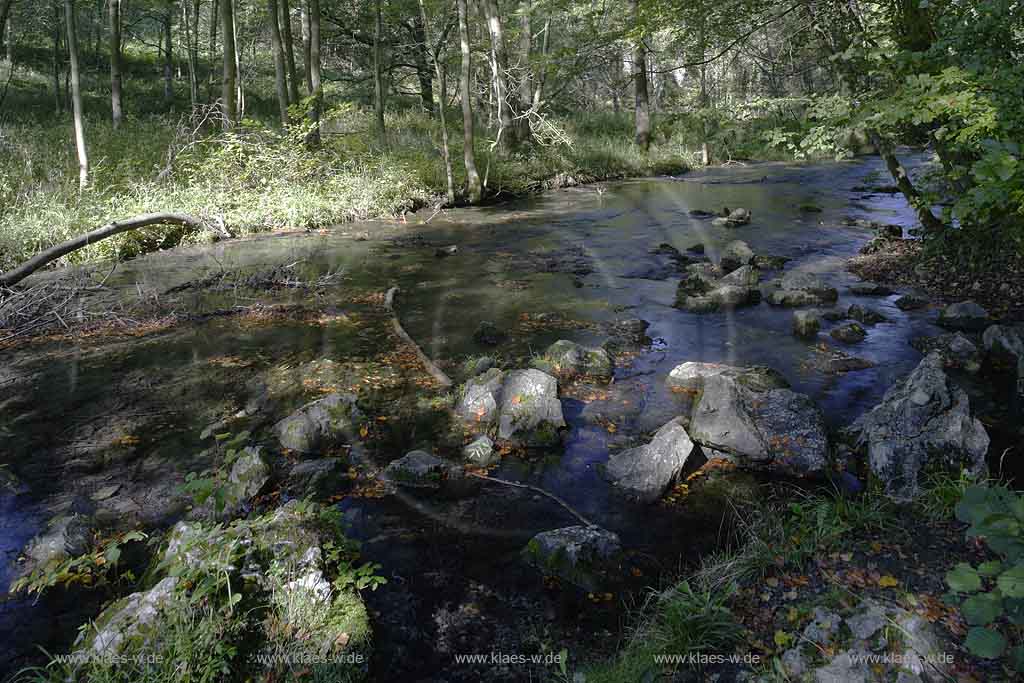 Brilon, Alme, Blick auf Almequellen, Sauerland