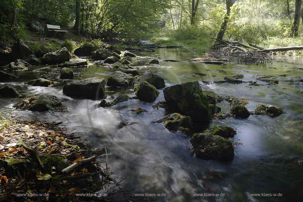 Brilon, Alme, Blick auf Almequellen, Sauerland