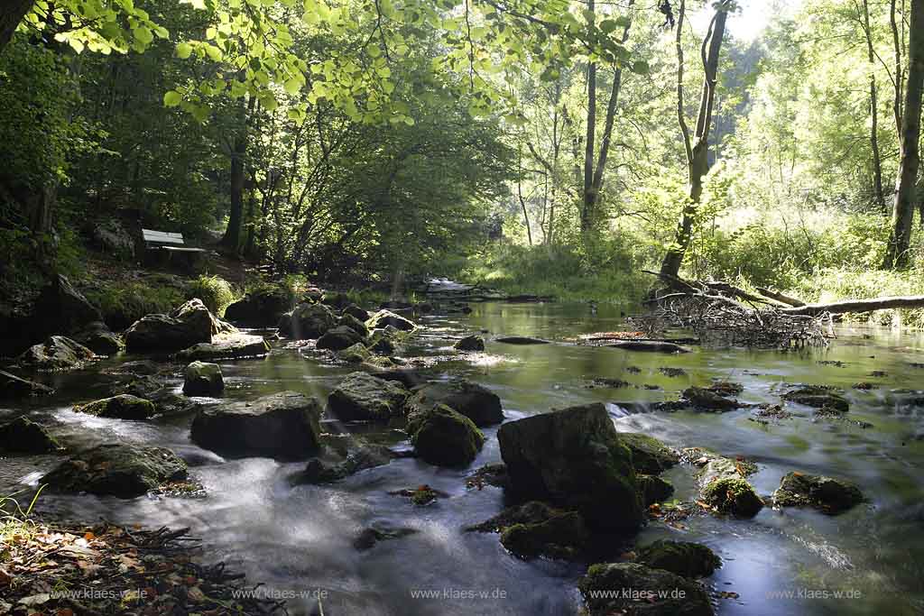 Brilon, Alme, Blick auf Almequellen, Sauerland