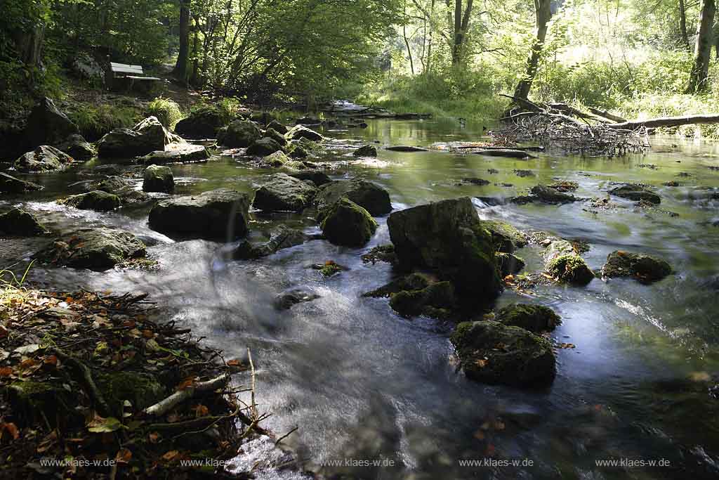 Brilon, Alme, Blick auf Almequellen, Sauerland
