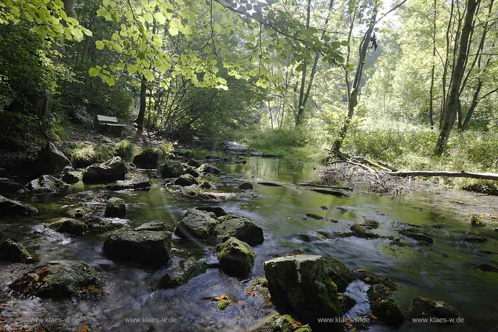 Brilon, Alme, Blick auf Almequellen, Sauerland