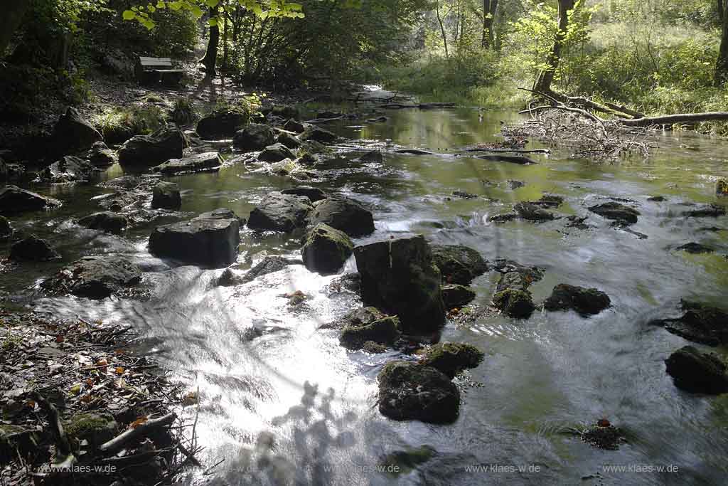 Brilon, Alme, Blick auf Almequellen, Sauerland