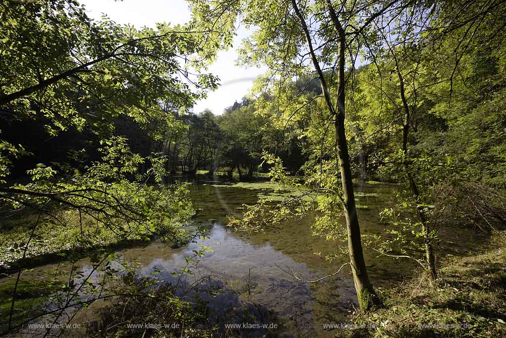 Brilon, Alme, Blick auf Almequellen mit Quellteich, Sauerland