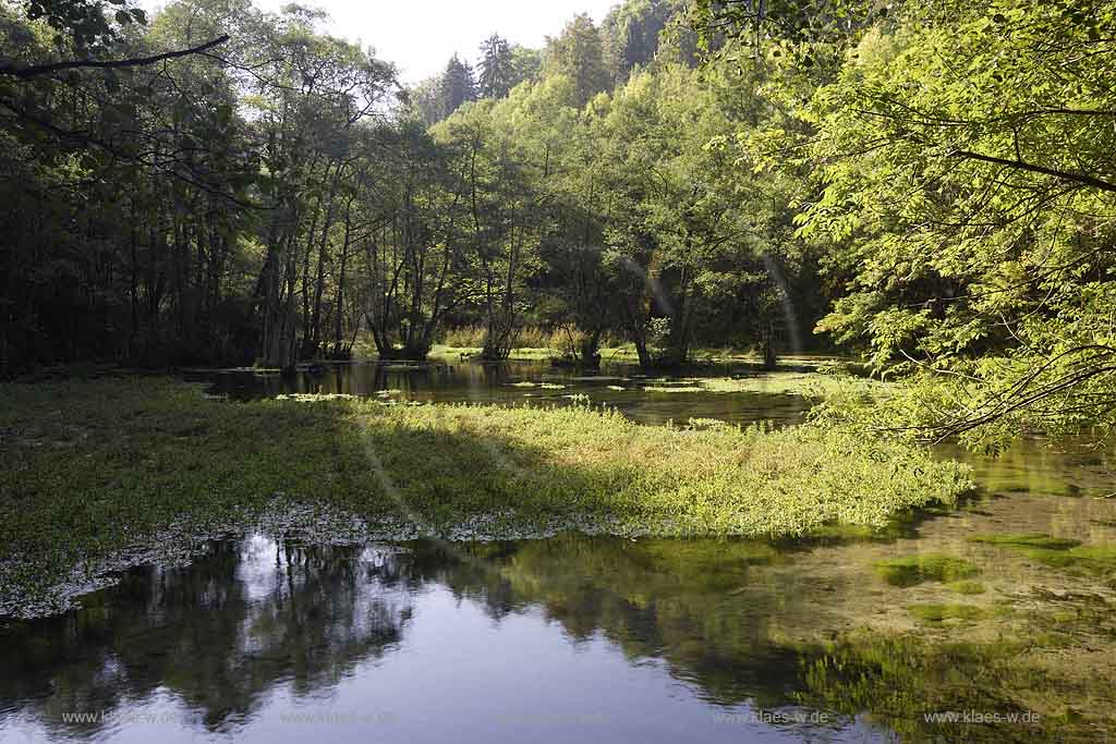 Brilon, Alme, Blick auf Almequellen mit Quellteich, Sauerland