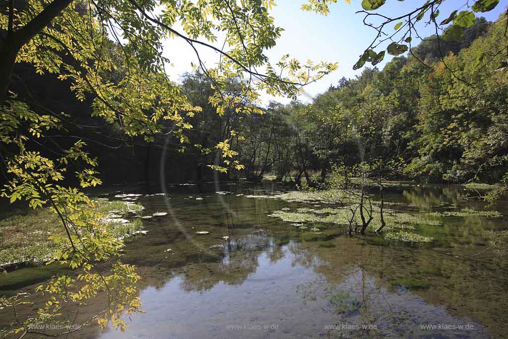 Brilon, Alme, Blick auf Almequellen mit Quellteich, Sauerland