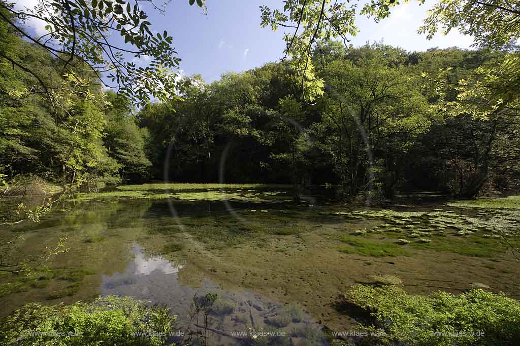 Brilon, Alme, Blick auf Almequellen mit Quellteich, Sauerland