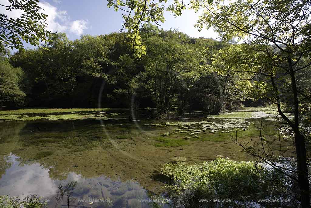 Brilon, Alme, Blick auf Almequellen mit Quellteich, Sauerland