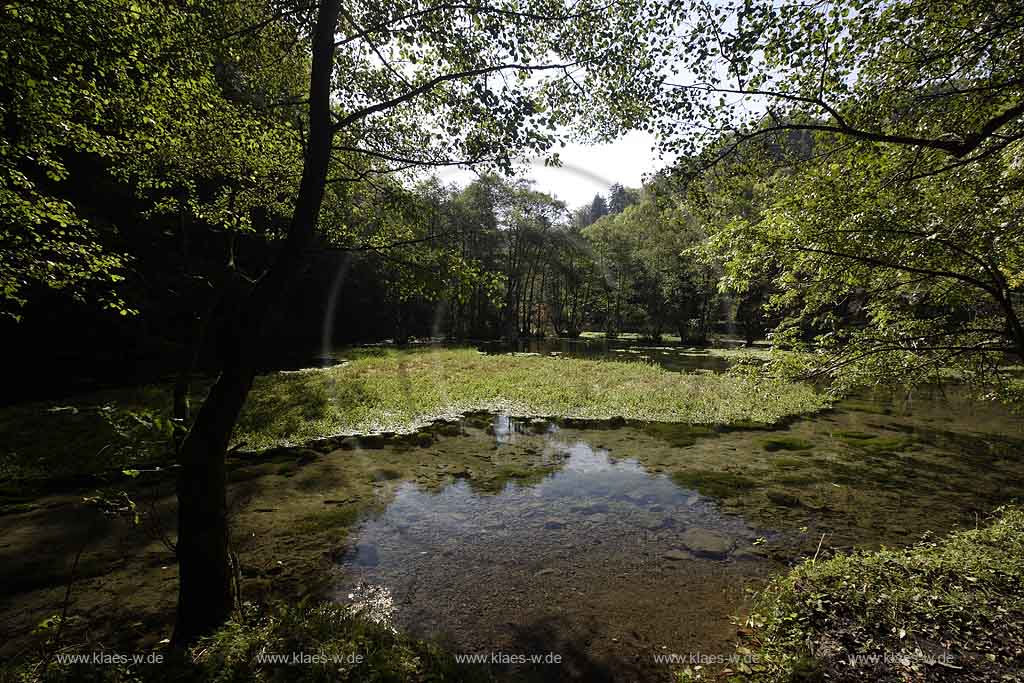 Brilon, Alme, Blick auf Almequellen mit Quellteich, Sauerland