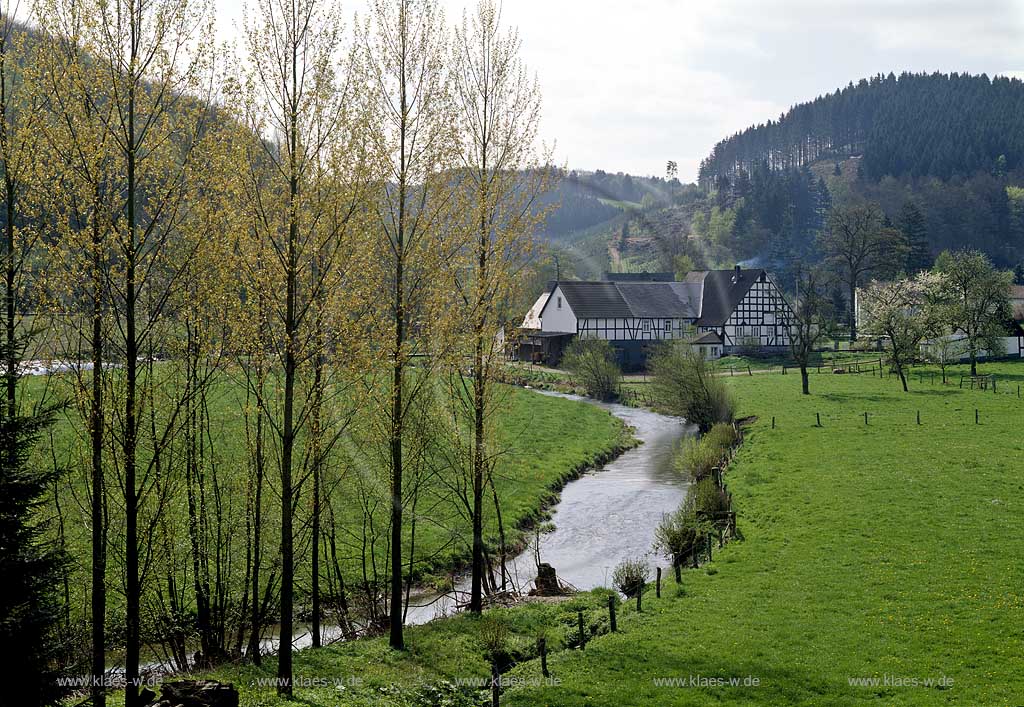 Eslohe, Frielinghausen, Blick auf Wennelauf mit Fachwerkhusern, Sauerland