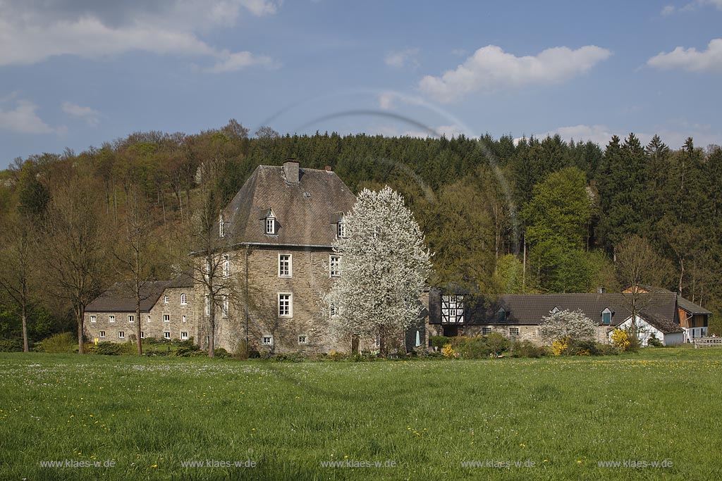 Eslohe, Haus Wenne, Haus Wenne, wurde 1371 erstmals urkundlich erwaehnt. Das Gut war Stammsitz der Herren von der Wenne ; Eslohe, Haus Wenne, estade Haus Wenne.