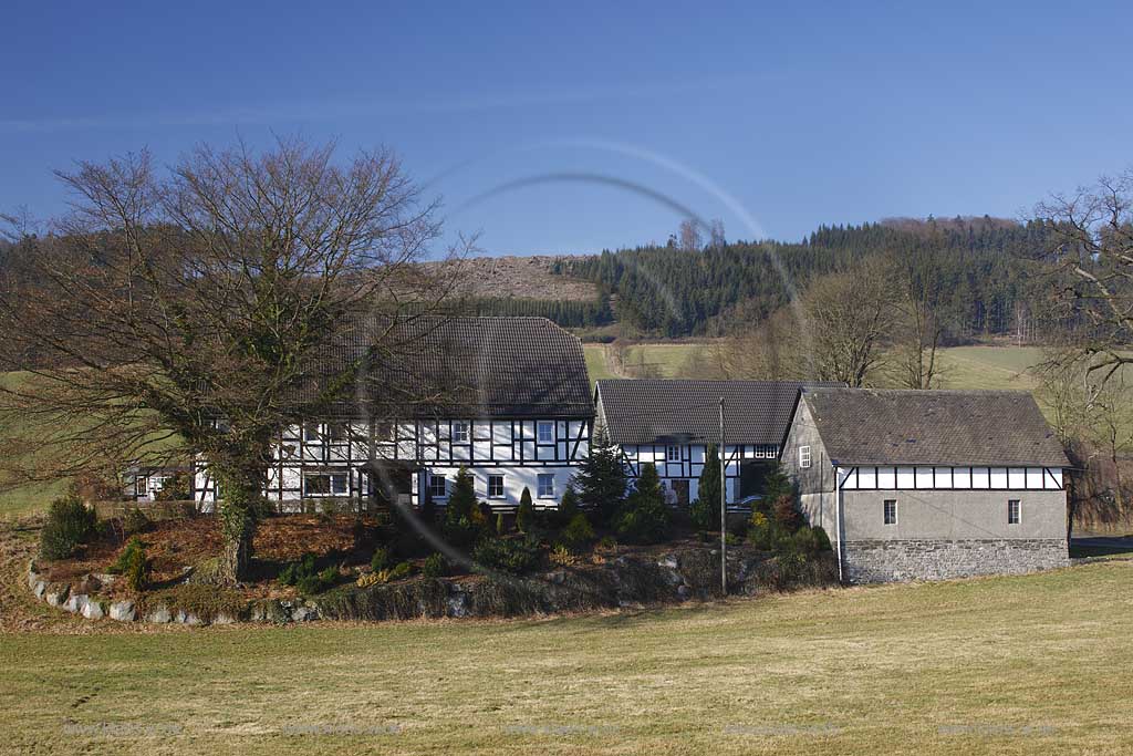 Eslohe, Reiste, Landschaft mit Bauernhof, Fachwerkhof