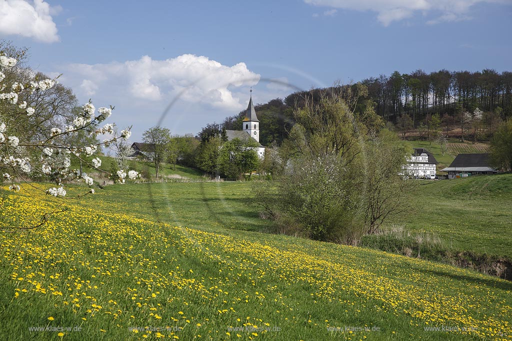 Eslohe Niederlandenbeck, Blick ueber bluehende Fruehlingslandschaft zur Kirche Mariae Heimsuchung, die  in den Jahren 1932/33 gebaut wurde; Eslohe Niederlandenbeck, view over a flowering spring landscape to  church Mariae Heimsuchung.