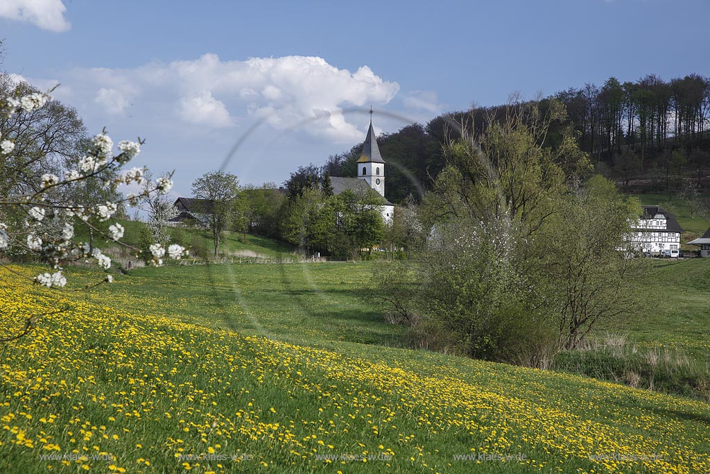 Eslohe Niederlandenbeck, Blick ueber bluehende Fruehlingslandschaft zur Kirche Mariae Heimsuchung, die  in den Jahren 1932/33 gebaut wurde; Eslohe Niederlandenbeck, view over a flowering spring landscape to  church Mariae Heimsuchung.