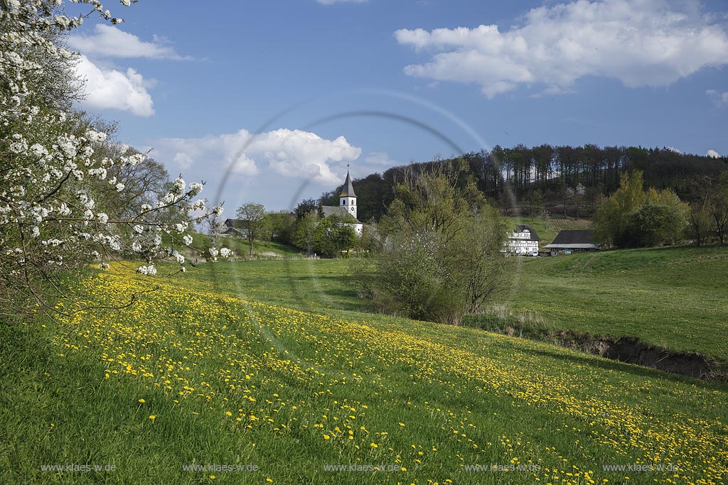 Eslohe Niederlandenbeck, Blick ueber bluehende Fruehlingslandschaft zur Kirche Mariae Heimsuchung, die  in den Jahren 1932/33 gebaut wurde; Eslohe Niederlandenbeck, view over a flowering spring landscape to  church Mariae Heimsuchung.