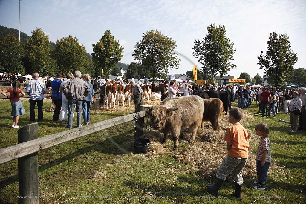 Eslohe, Reiste, Hochsauerlandkreis, Reister Markt, Tierschau, Highland Rind, Sauerland