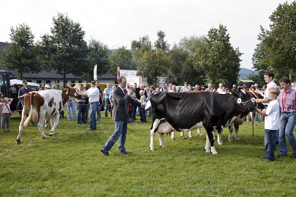 Eslohe, Reiste, Hochsauerlandkreis, Reister Markt, Tierschau, Richtplatz, Sauerland