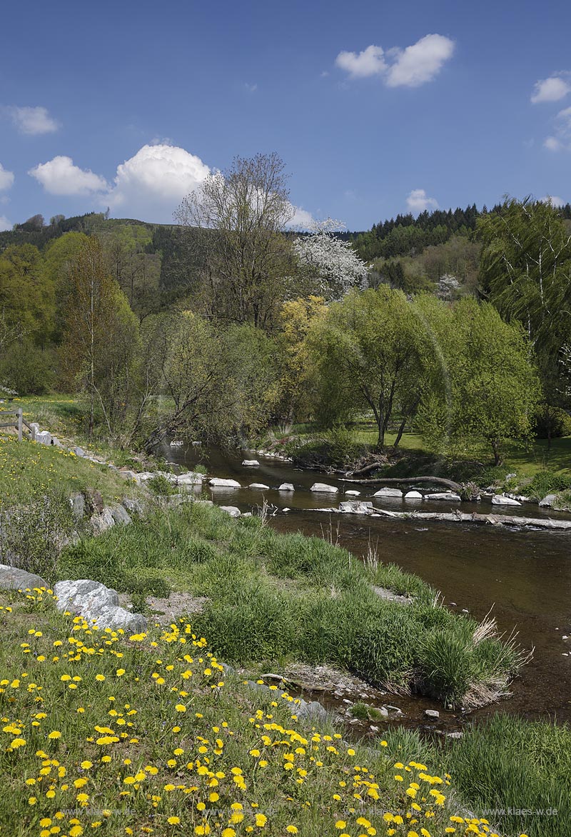 Eslohe Wenholthausen, Blick auf den Wennelauf in Fruehlingslandschaft; Eslohe Wenholthausen, view to the river Wenne in spring.