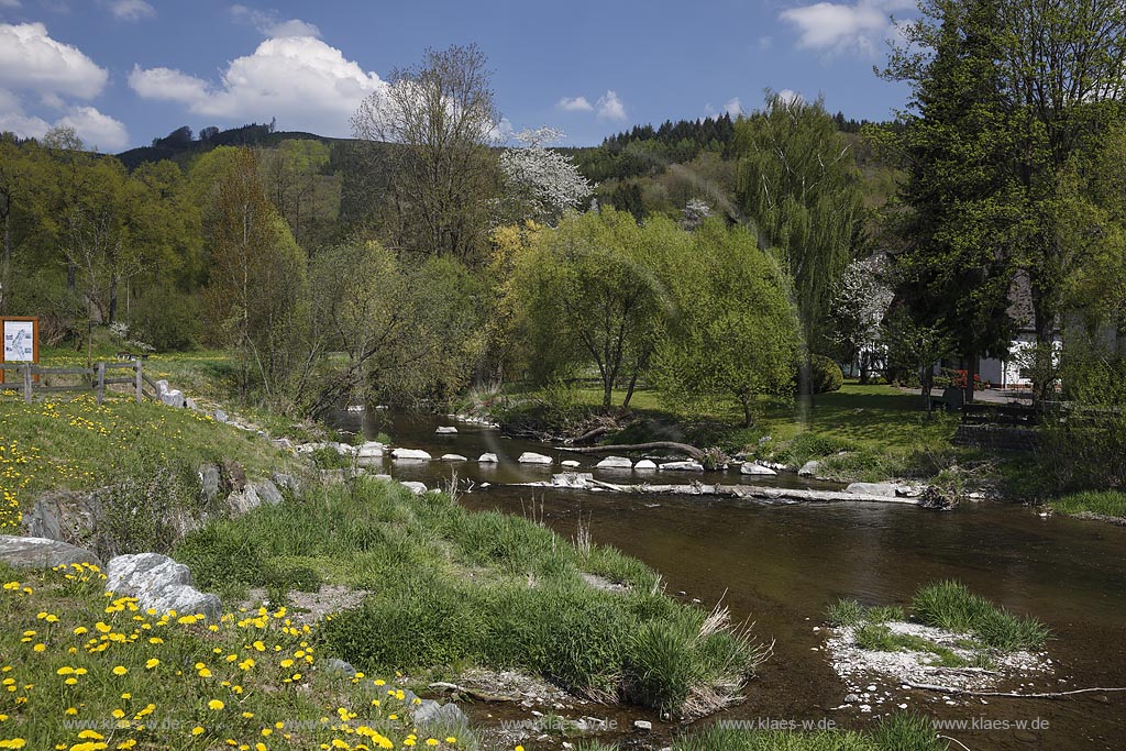 Eslohe Wenholthausen, Blick auf den Wennelauf in Fruehlingslandschaft; Eslohe Wenholthausen, view to the river Wenne in spring.