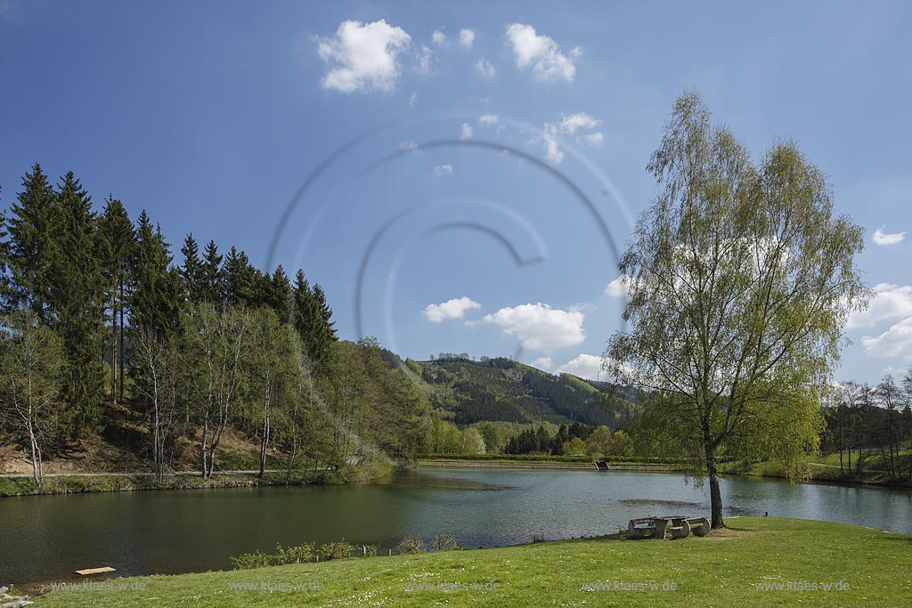 Eslohe, Esmecke-Stausee (auch Stauanlage Wenholthausen oder Einbergsee) in Fruehlingslandschaft; Eslohe, barrier lake Esmecke-Stausee in spring. 