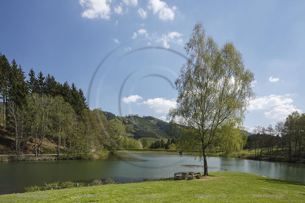 Eslohe, Esmecke-Stausee (auch Stauanlage Wenholthausen oder Einbergsee) in Fruehlingslandschaft; Eslohe, barrier lake Esmecke-Stausee in spring. 