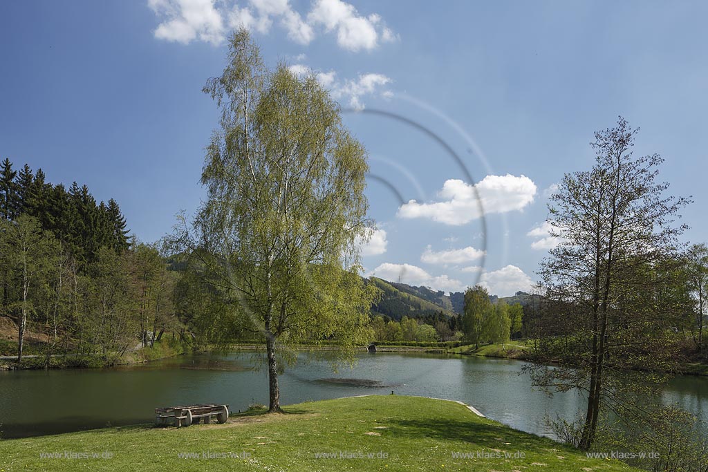 Eslohe, Esmecke-Stausee (auch Stauanlage Wenholthausen oder Einbergsee) in Fruehlingslandschaft; Eslohe, barrier lake Esmecke-Stausee in spring. 