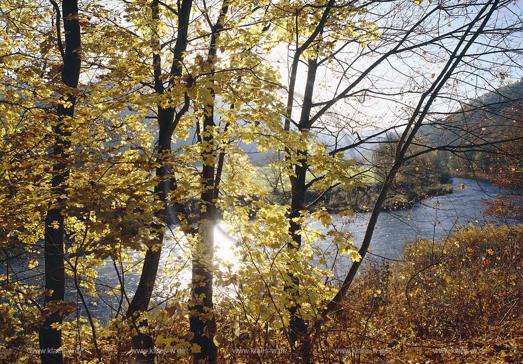 Finnentrop, Roenkhausen, Rnkhausen, Kreis Olpe, Blick auf Lenne, Herbststimmung, Sauerland