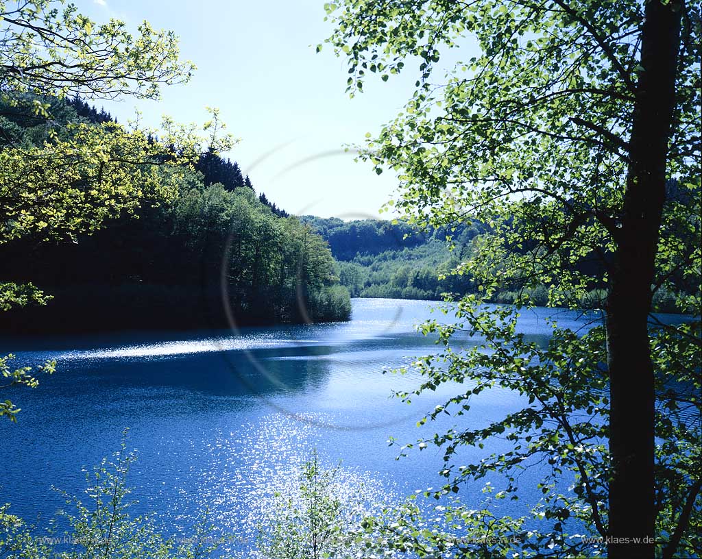 Meinerzhagen, Maerkischer Kreis, Fuerwigge, Blick auf Talsperre mit Waldlandschaft, Sauerland