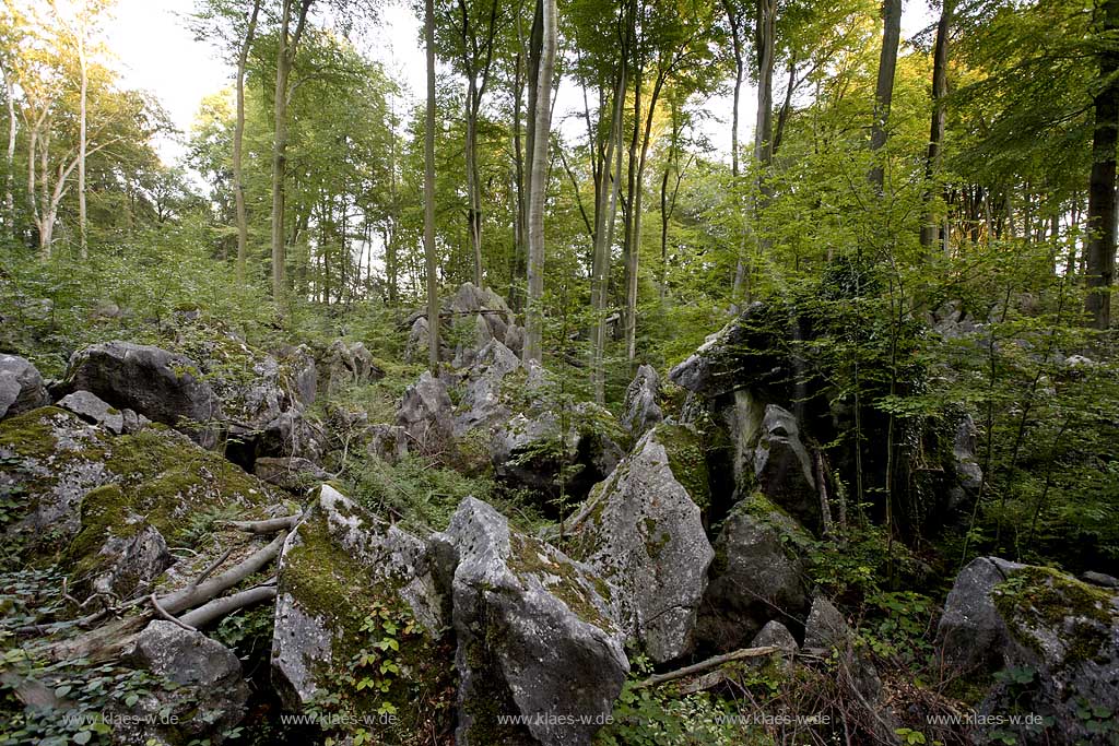 Hemer, Maerkischer Kreis, Mrkischer Kreis, Blick auf Felsenmeer, Sauerland