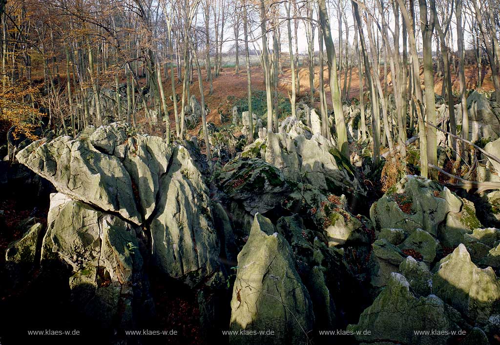 Hemer, Blick auf Felsenmeer, Mrkischer Kreis, Sauerland