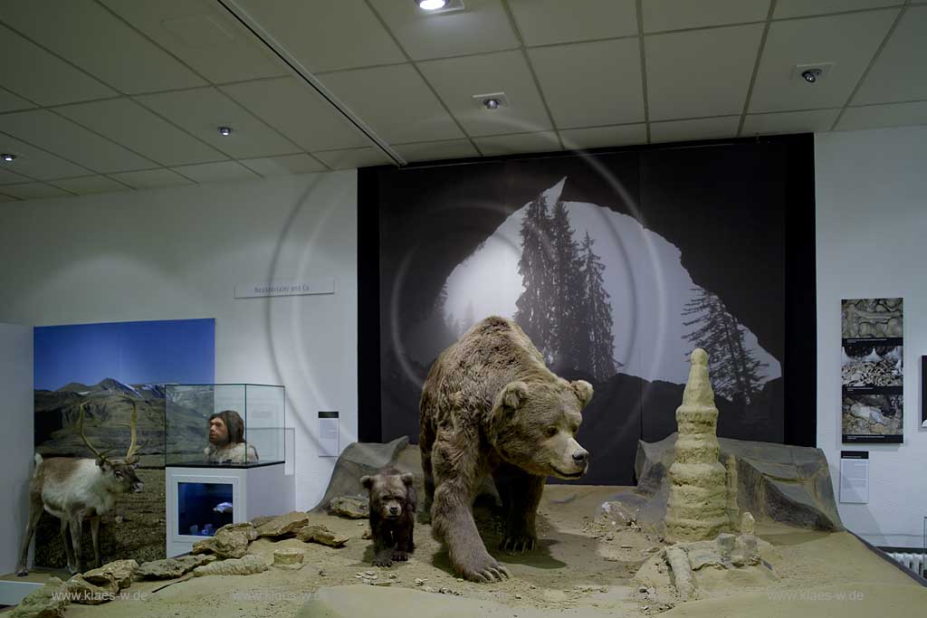 Iserlohn, Maerkischer Kreis, Mrkischer Kreis, Deutsches Hoehlenmuseum, Hhlenmuseum, Blick auf Iguanodon, Leguanzahn vorne und Deinonychus, Schreckenskralle hinten, Sauerland