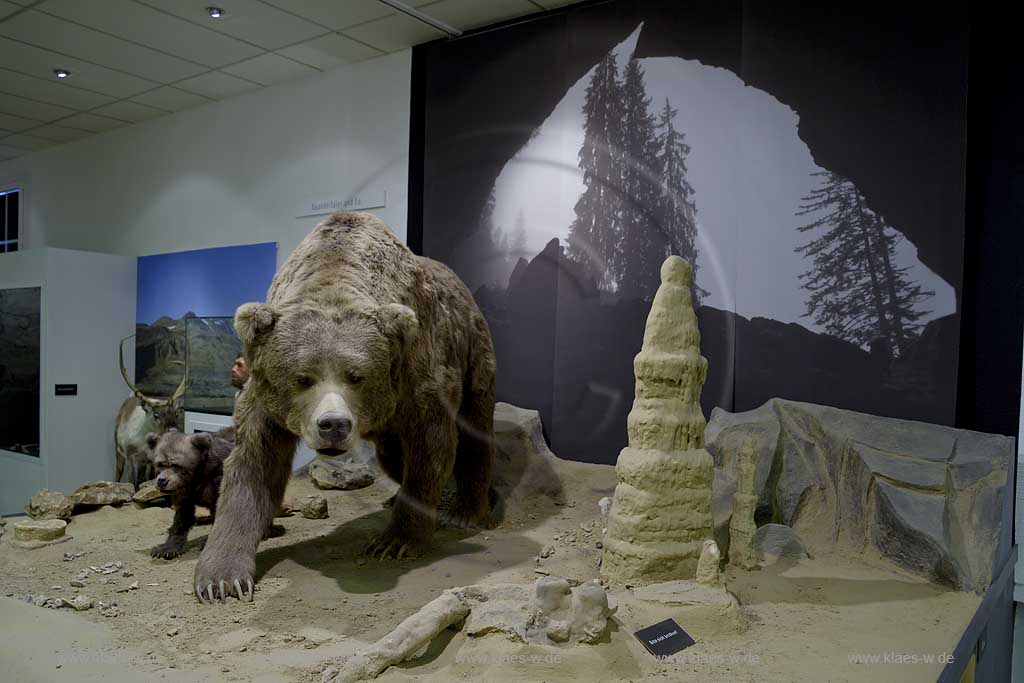 Iserlohn, Maerkischer Kreis, Mrkischer Kreis, Deutsches Hoehlenmuseum, Hhlenmuseum, Blick auf Hoehlenbaer, Hhlenbr, mit Jungbaer, Jungbr, Sauerland