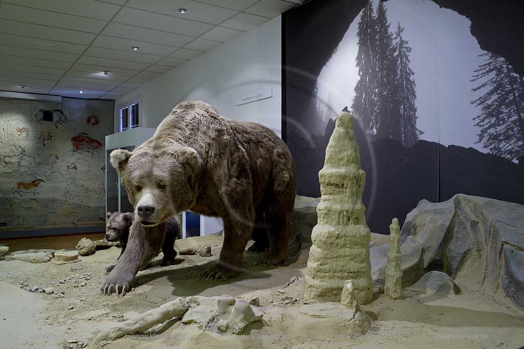 Iserlohn, Maerkischer Kreis, Mrkischer Kreis, Deutsches Hoehlenmuseum, Hhlenmuseum, Blick auf Hoehlenbaer, Hhlenbr, mit Jungbaer, Jungbr, Sauerland