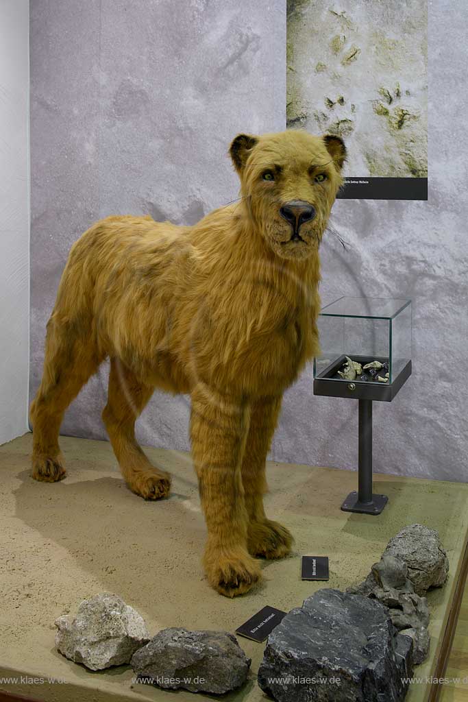 Iserlohn, Maerkischer Kreis, Mrkischer Kreis, Deutsches Hoehlenmuseum, Hhlenmuseum, Blick auf Hoehlenloewe, Hhlenlwe, Sauerland