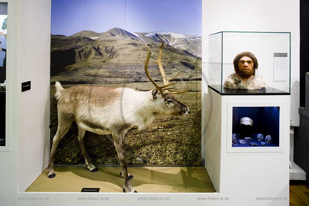 Iserlohn, Maerkischer Kreis, Mrkischer Kreis, Deutsches Hoehlenmuseum, Hhlenmuseum, Blick auf Rentier und Neandertaler, Sauerland