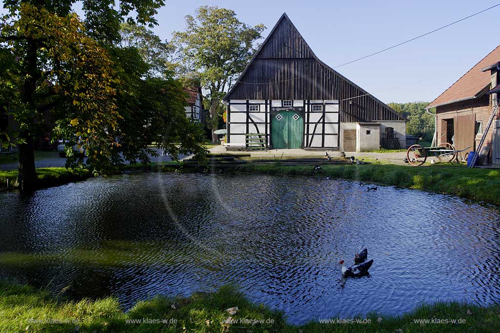 Iserlohn, Maerkischer Kreis, Mrkischer Kreis, Suemmern, Smmern, Bauernhof, Schmale Berglose, Blick auf Bauernhof und Teich mit Enten, Sauerland