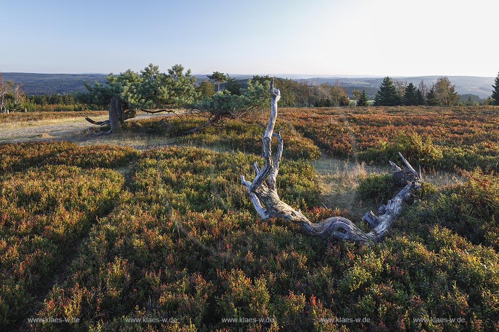 Winterberg, Kahler Asten, Blick in die Landschaft; Winterberg, Kahler Asten,  view into the landscape.