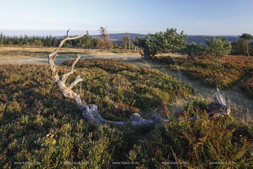 Winterberg, Kahler Asten, Blick in die Landschaft; Winterberg, Kahler Asten,  view into the landscape.