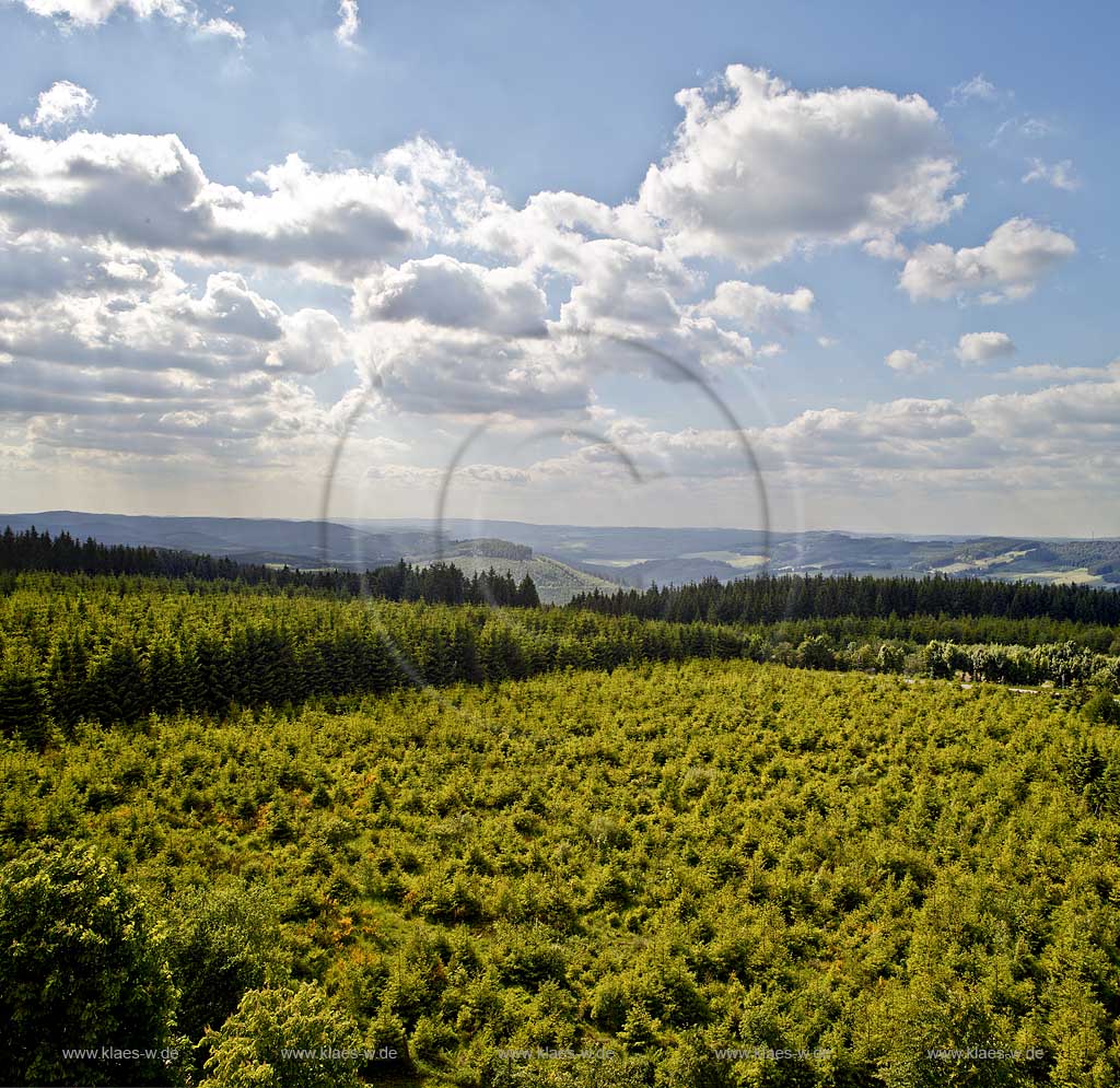 Kirchhundem Oberhundem Blick vom Rhein Weser Turm im Rothaargebirge am Rothaarsteig im Gegenlicht mit Kumulus Wolken ueber aufgeforstete Fichtenschonung Richtung Westen, im Hintergrund die Hohe Bracht, View fom look-out of Rhine-Weser tower in westward direction to the  Hohe Bracht in the background in backlightning with cumulus clouds