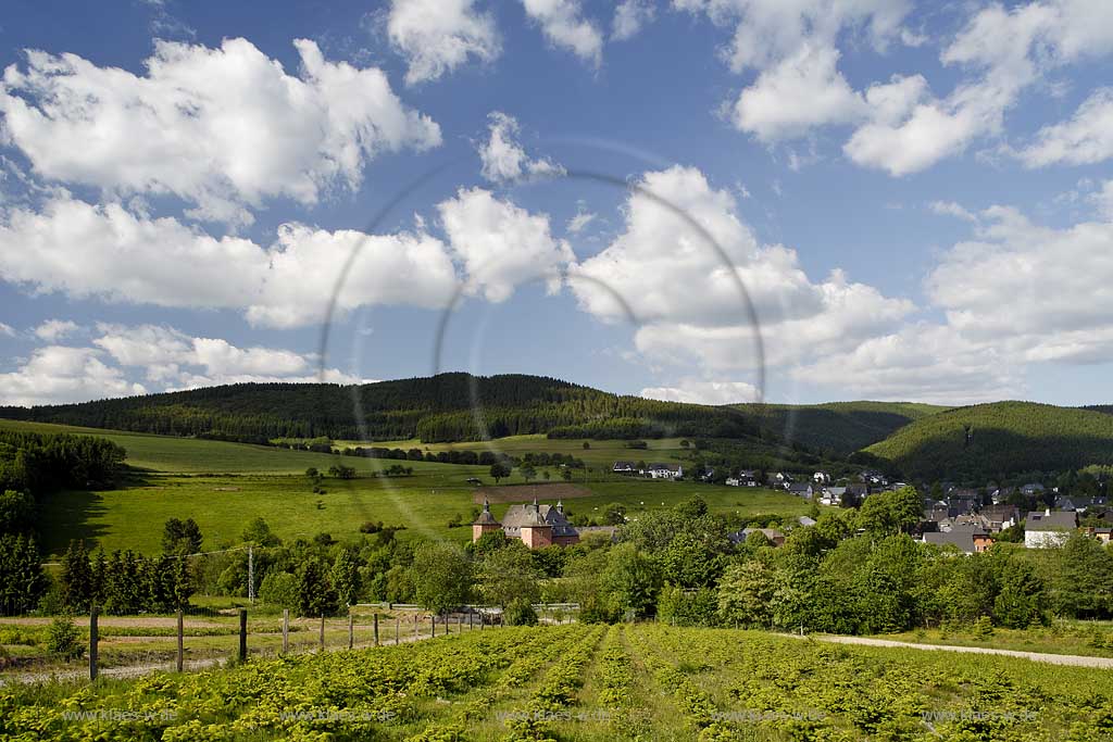 Kirchhundem Oberhundem im Rothaargebirge mit Schloss Adolfsburg und Fichtenschoung neu aufgeforstet mit Kumulus Wolken, Castle Adolfsburg in summer landscape and cumulus clouds