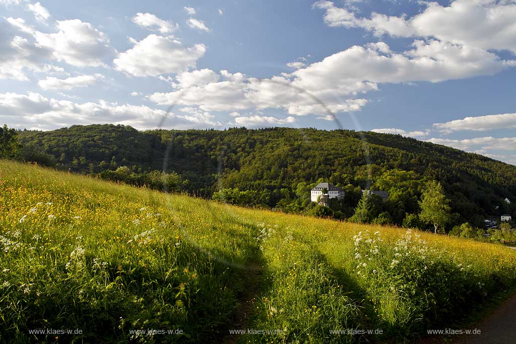 Lennestadt Bilstein zur Burg Bilstein, Deutsche Jugendherberge in Sommerlandschaft mit Kumuluswolken mit gelb bluehender Wiese, kriechender Hahnenfuss; View to castle Bilstein (german youth hostel) with blue sky and cumulus clouds in summer lanscape with yellow bloom meadow, bloom gorse, creeping buttercuo in flower